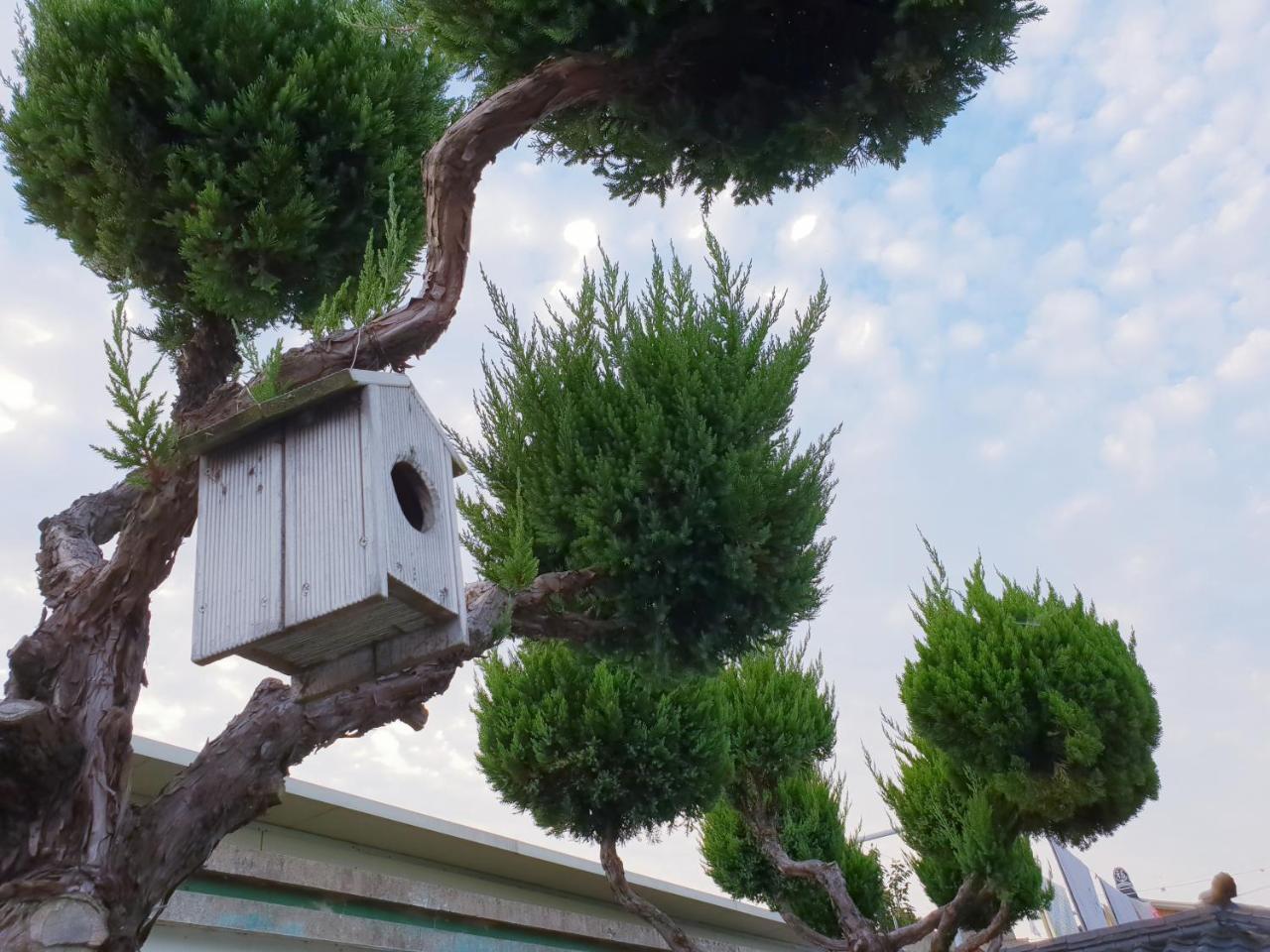 Hanok Raon Гиеонгджу Екстериор снимка